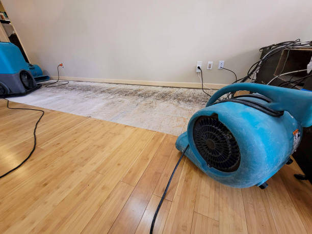 Reliable Basement Flood Cleanup contractor in Midlothian, VA by Hirex Water Damage
