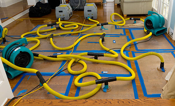 Professional Basement Flood Cleanup technician working in Midlothian, VA